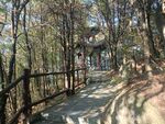 林间步道