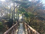 栈道
