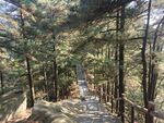 松峰