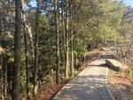 游步道