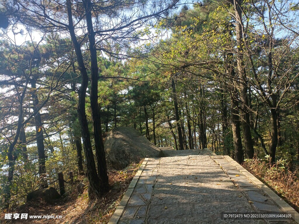 林间游步道