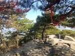 峰顶