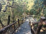 游步道