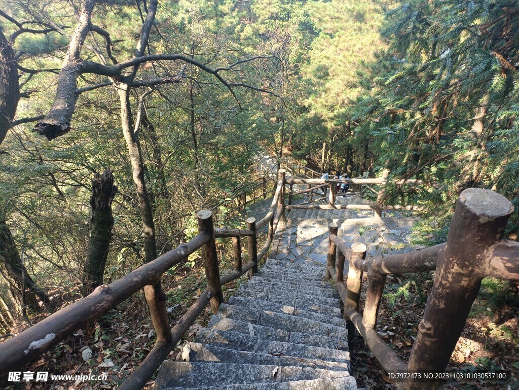 游步道