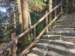 游步道