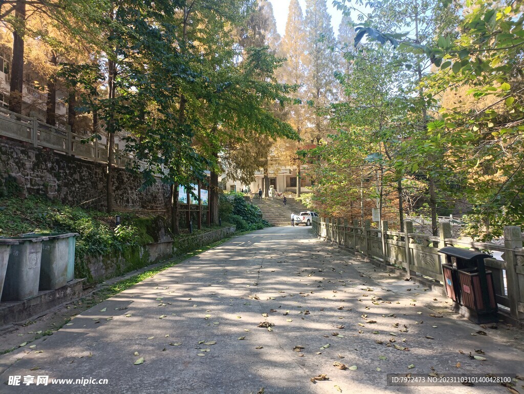 景区道路