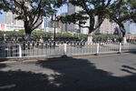 城市道路护栏