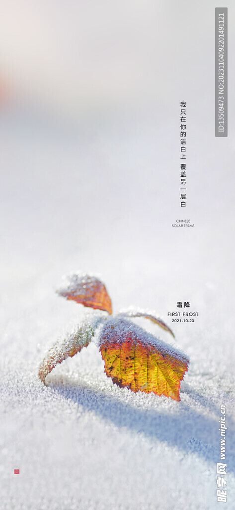 霜降 落叶