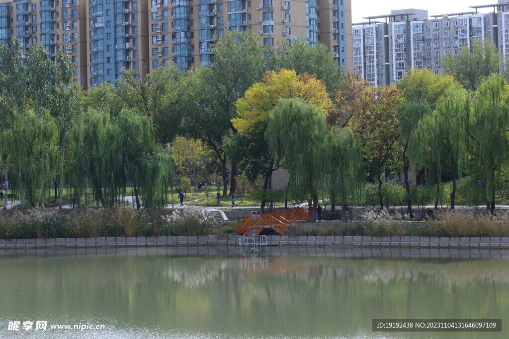 公园风景 