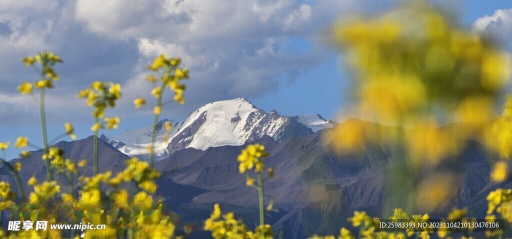 大雪山