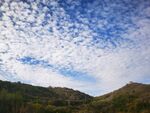 蓝天白云 秋景 公园 