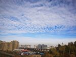 蓝天白云 城市建筑 秋景