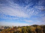 蓝天白云 秋景 树木 公园