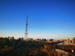 蓝天白云 城市建筑 秋景 公园
