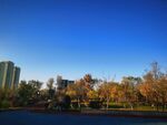 蓝天白云 公园 秋景 城市建筑