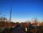 公园 蓝天 白云 秋景