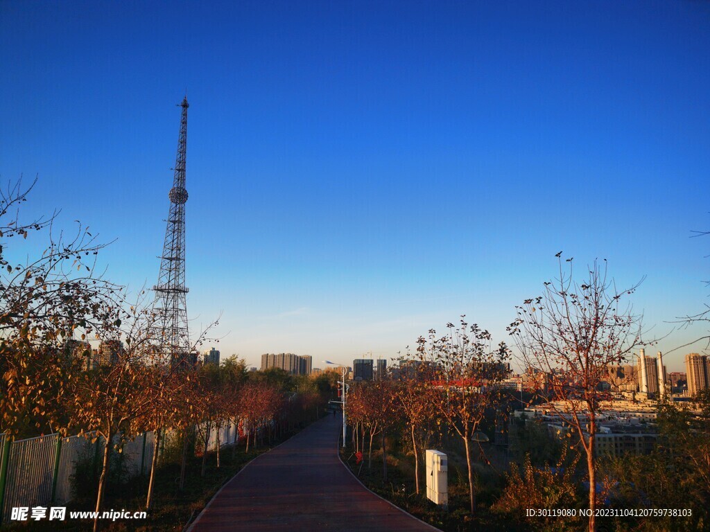 公园 蓝天 白云 秋景