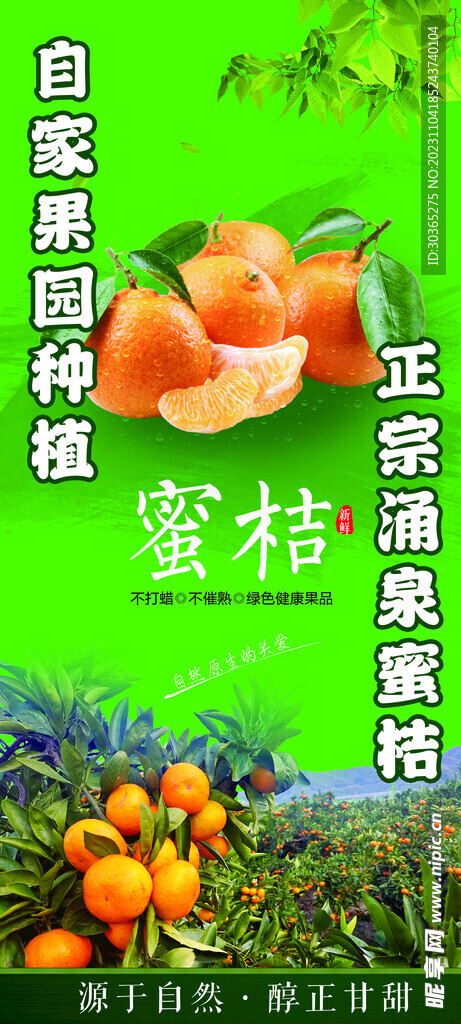 蜜桔