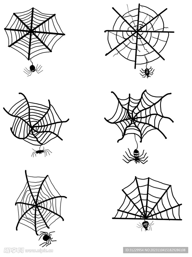  蜘蛛网 