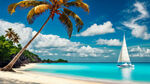 碧海蓝天白云 椰子树 沙滩 海鸥 大帆船 一帆风顺 风景照片