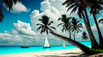 碧海蓝天白云 两棵椰子树 沙滩 几只海鸥 古代大船 一帆风顺 风景照片