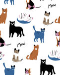 小猫