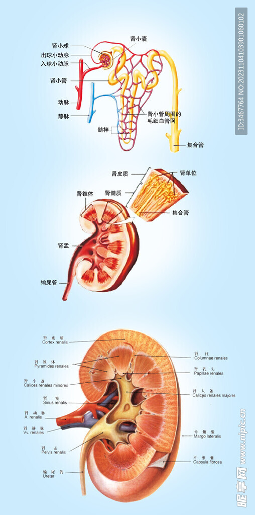 医疗健康