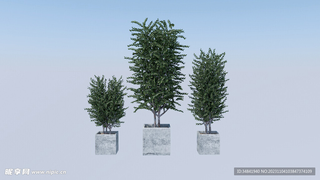 植物