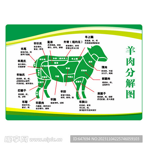 羊肉分解图