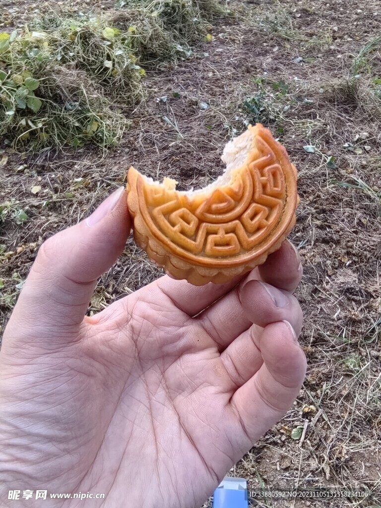 月饼