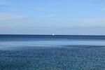 海面上的帆船