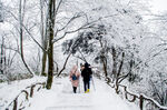 黄山雾凇雪景冬天下雪