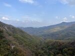 山