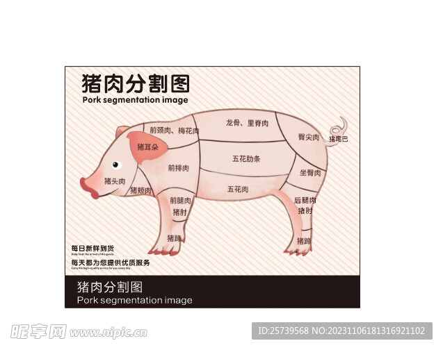 猪肉分割图