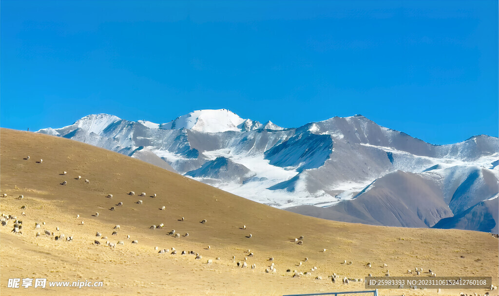 大雪山