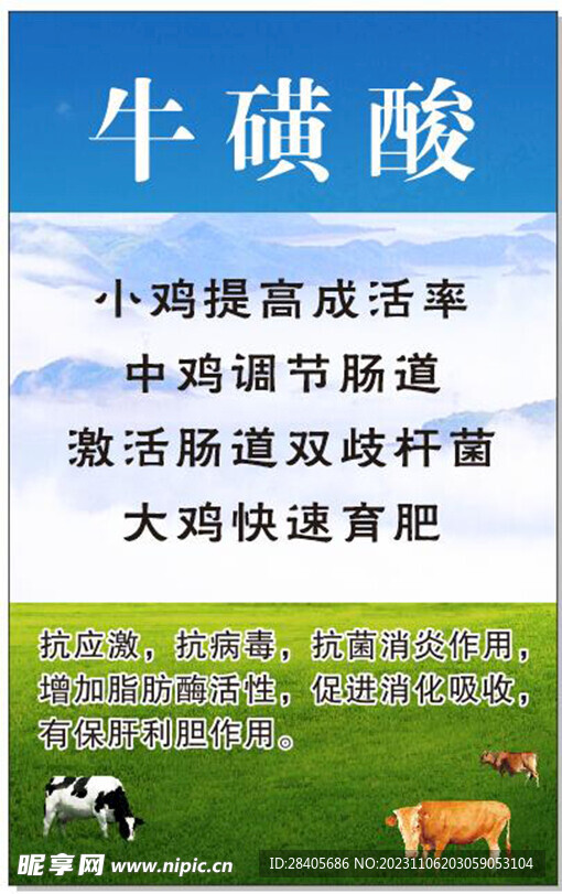 牛磺酸