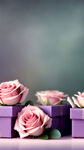 朦胧的背景，小小的玫瑰烘托着很多礼盒，主体礼盒精致漂亮，整体淡淡粉紫色