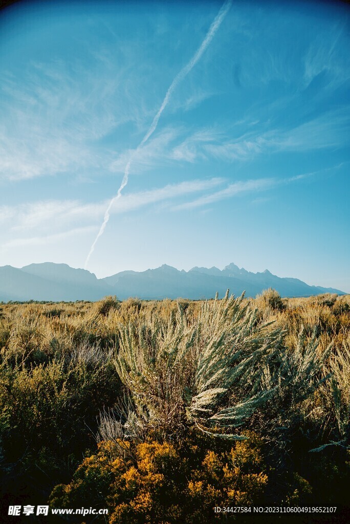 草原风景