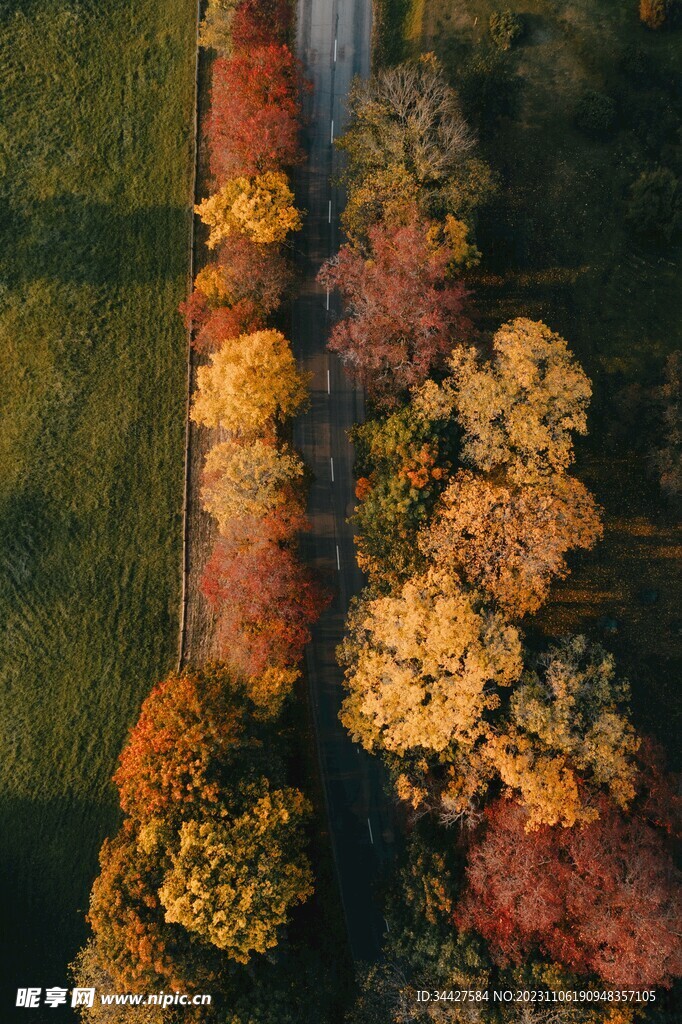 航拍林间道路