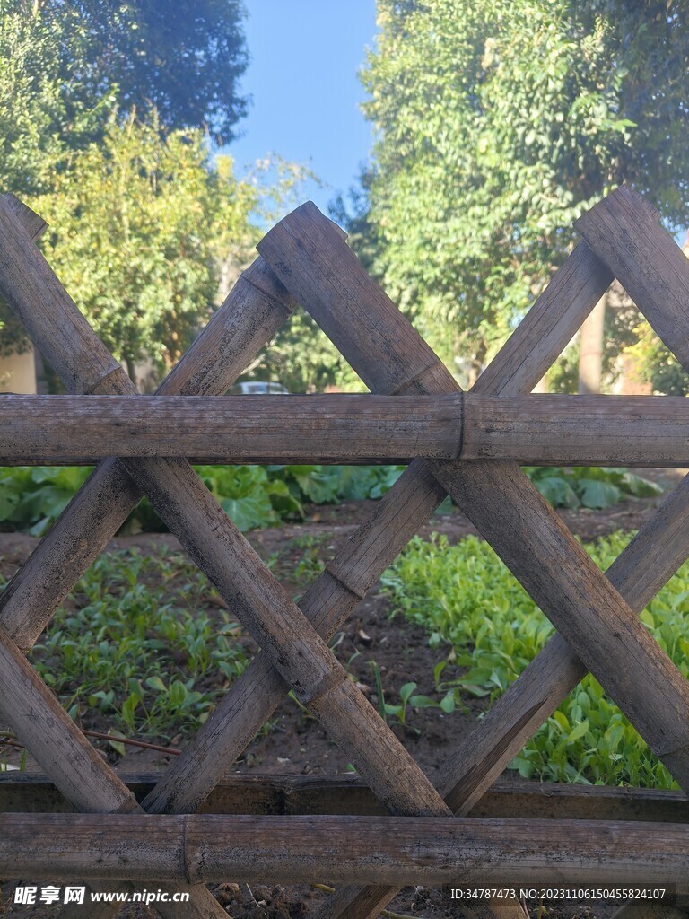 篱笆菜园