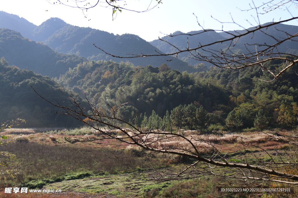 田园风光