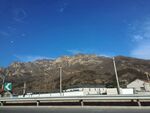 山