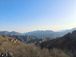 山