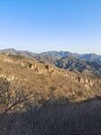 山