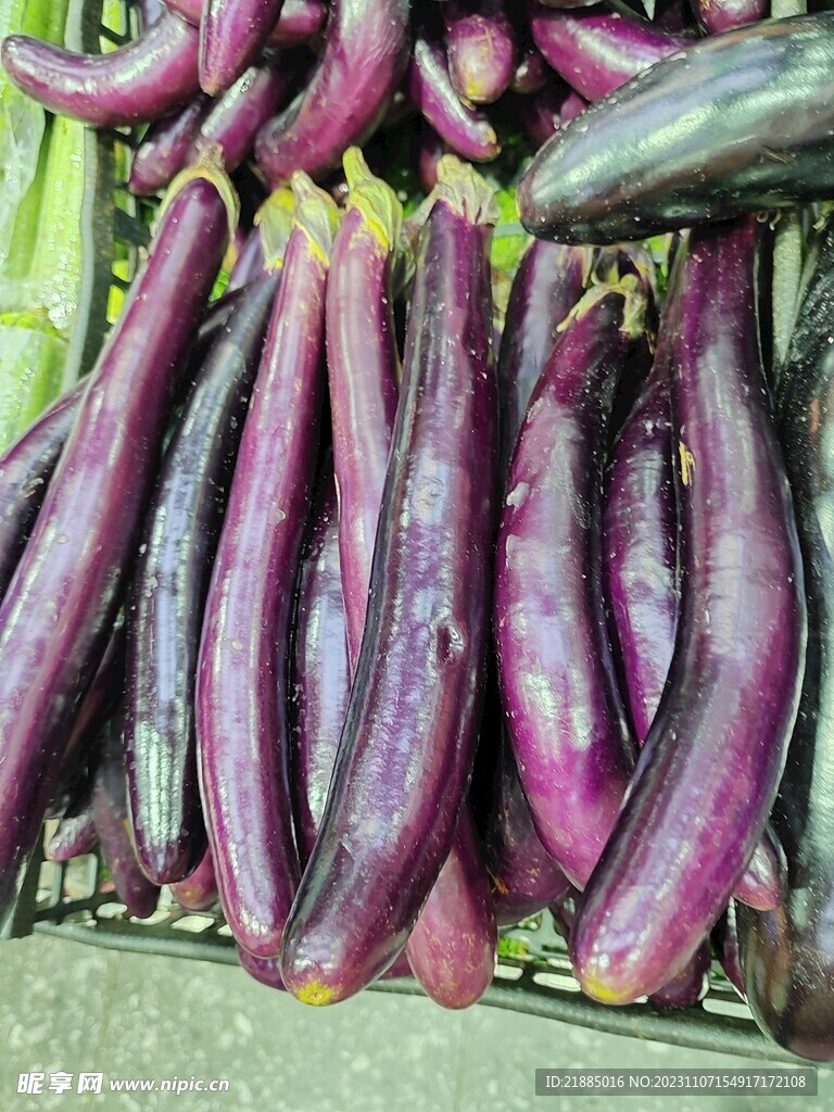 紫长茄子