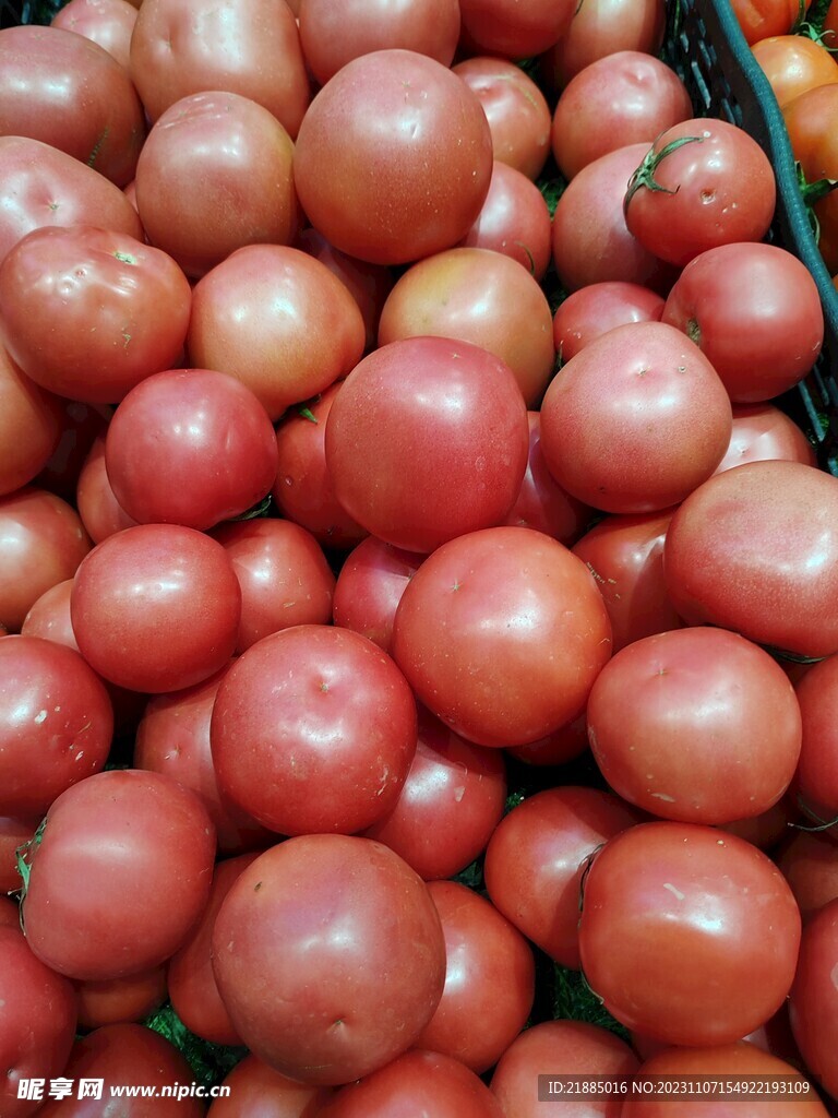 粉色西红柿