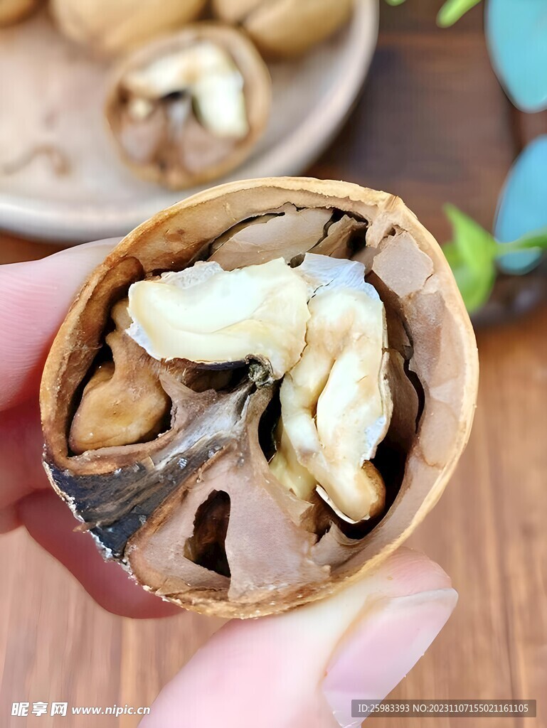 核桃