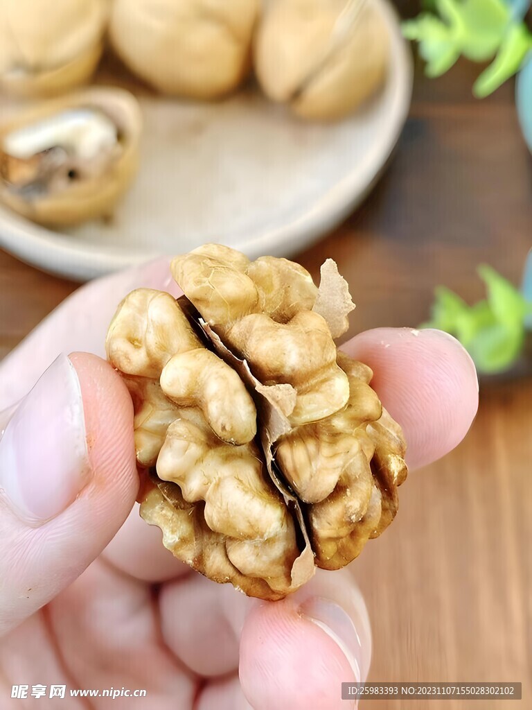 核桃