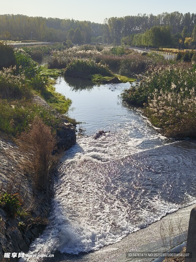 小河流水