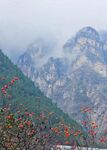 远山